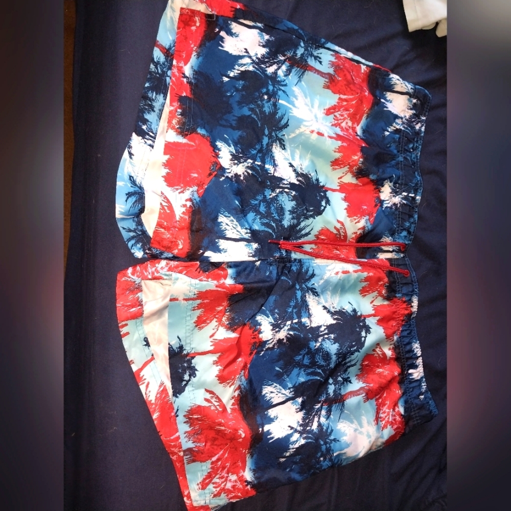 Men's Swim Trunks